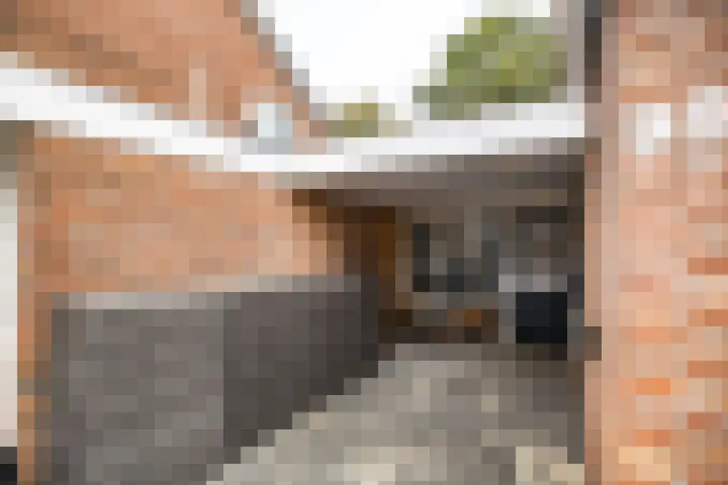 De Wulp 95 Almelo thumbnail 6