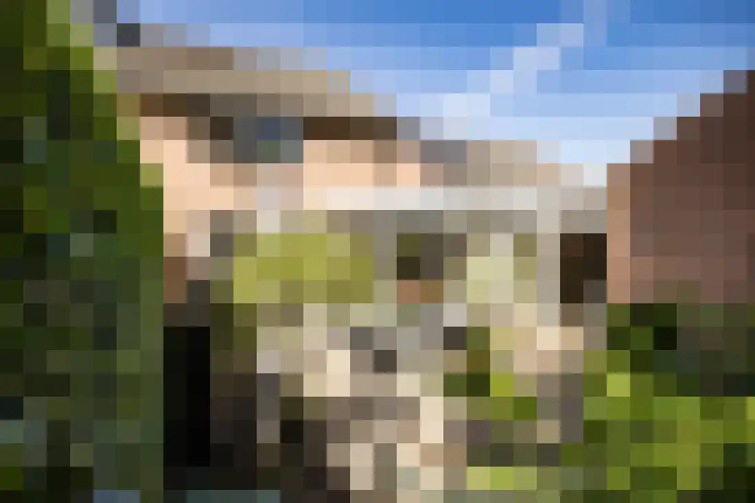 De Wulp 95 Almelo thumbnail 62