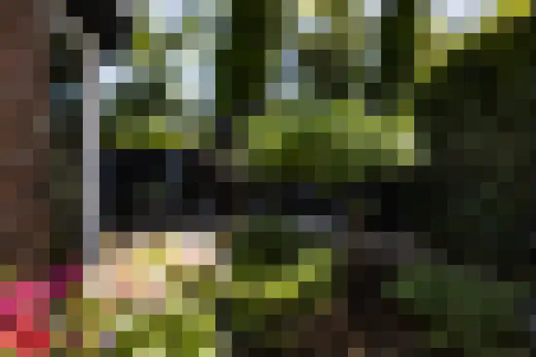 De Wulp 95 Almelo thumbnail 63