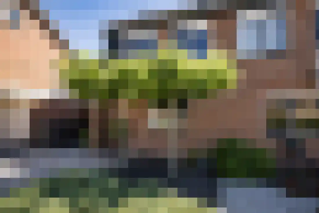 De Wulp 95 Almelo thumbnail 65