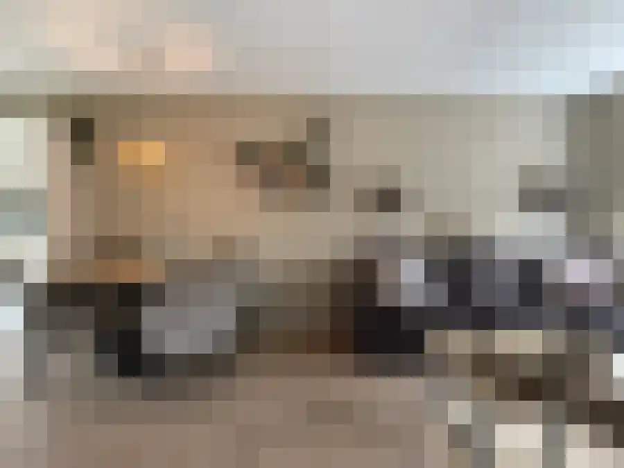 De Wulp Wierden thumbnail 4