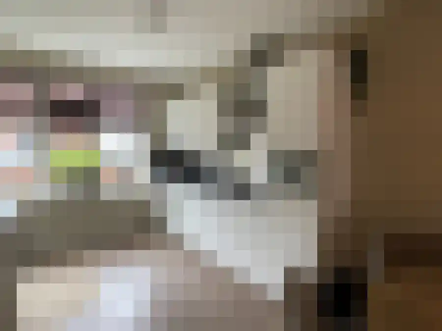 De Wulp Wierden thumbnail 6