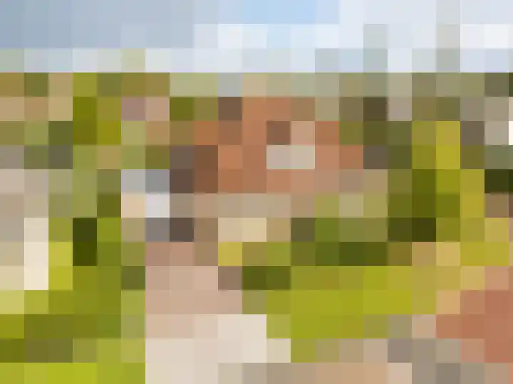 De Wurdze 11 en Balk