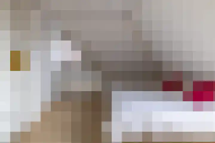 De Wurdze 11 Balk thumbnail 27