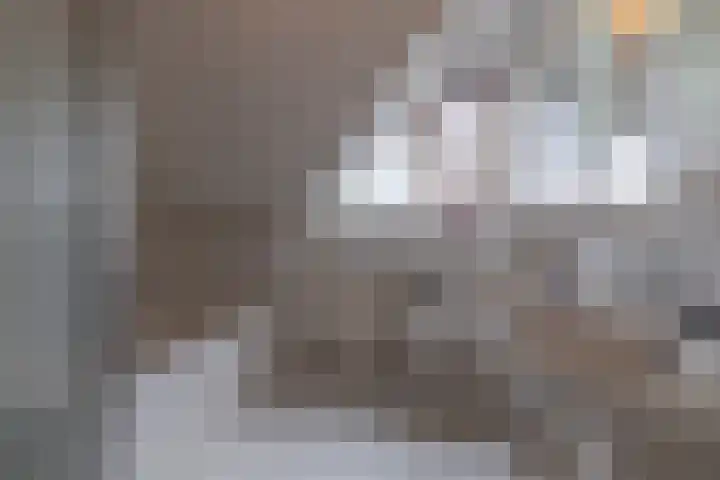 De Wurdze 11 Balk thumbnail 31