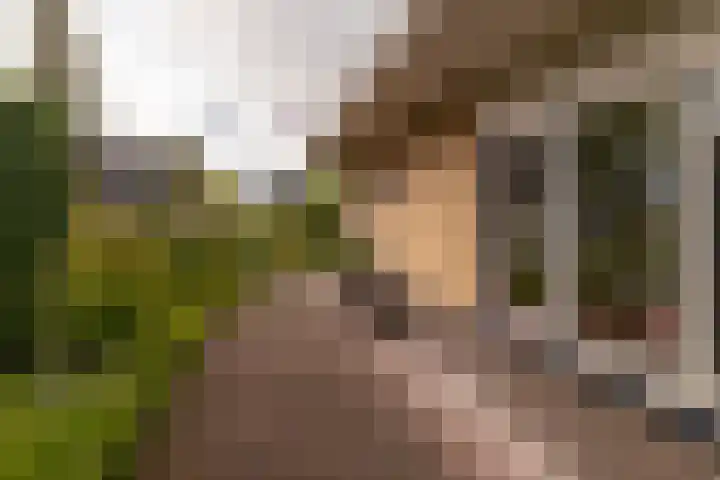 De Wurdze 11 Balk thumbnail 39