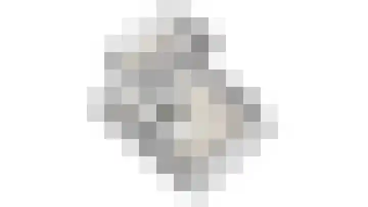 De Wurdze 11 Balk thumbnail 46