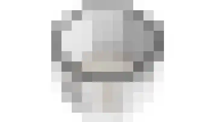De Wurdze 11 Balk thumbnail 52