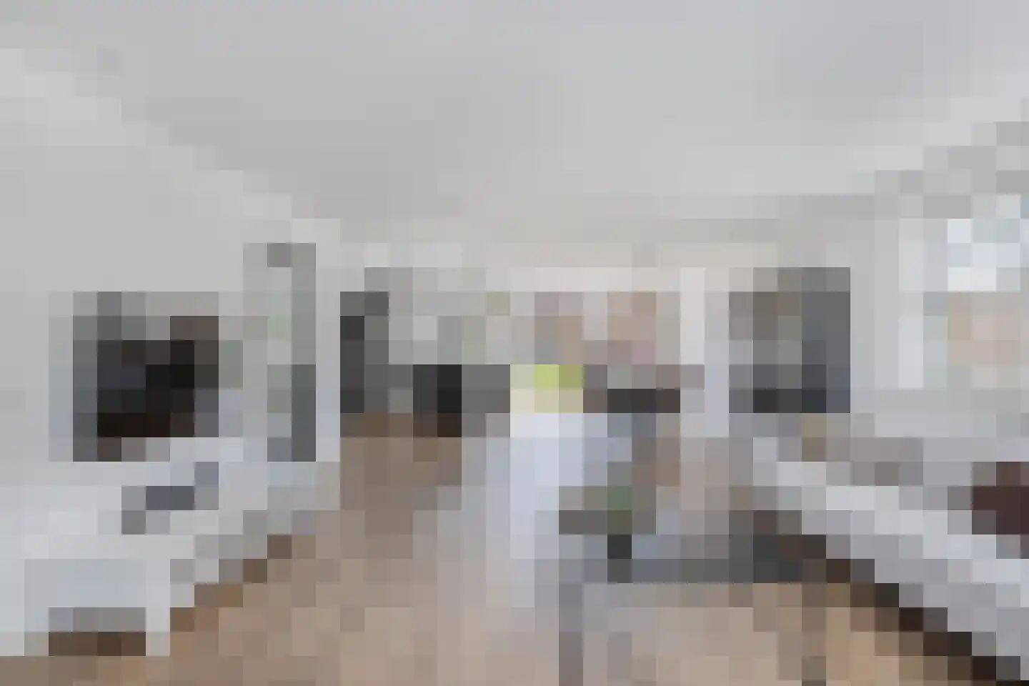 De Wurdze 21 Balk thumbnail 14