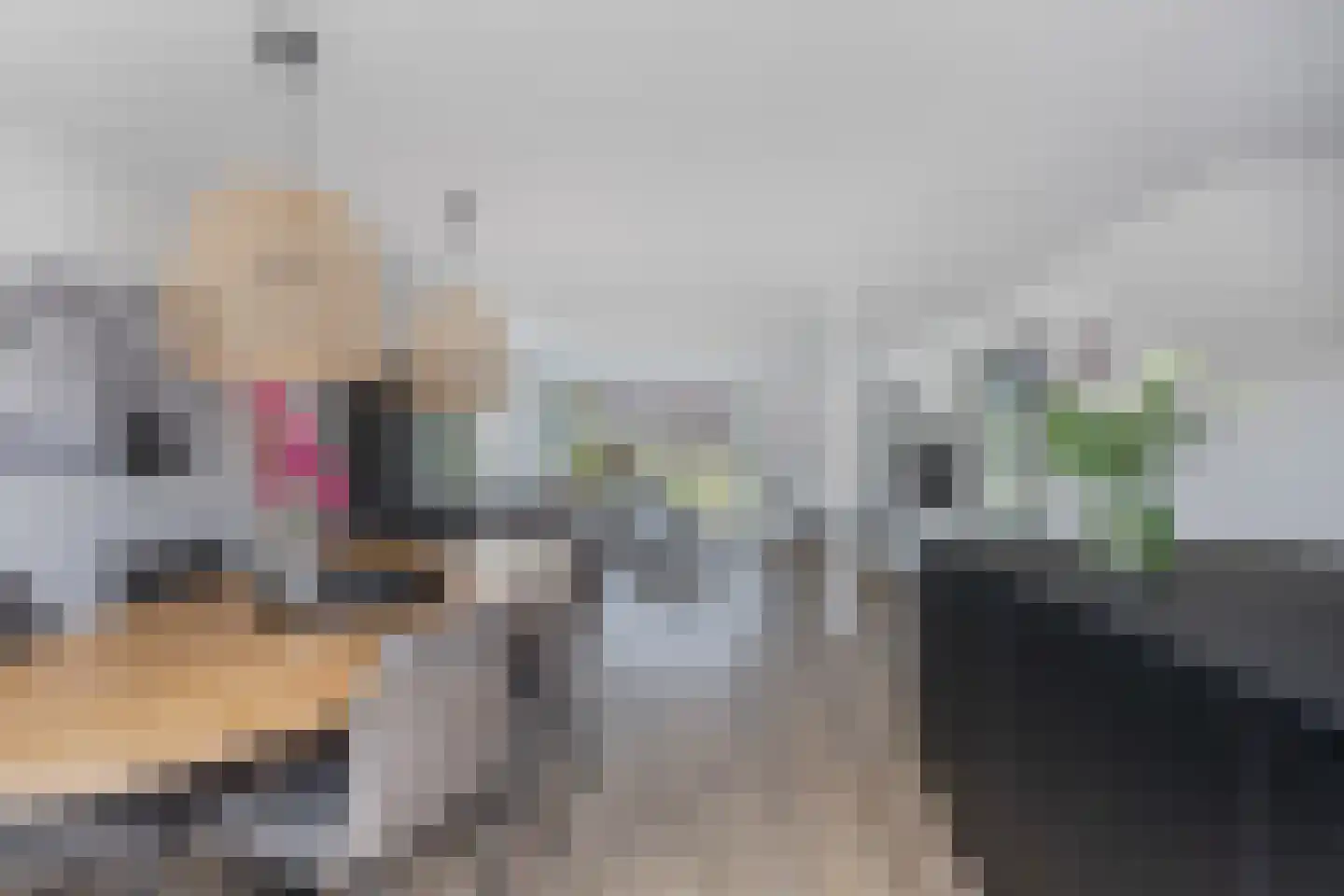 De Wurdze 21 Balk thumbnail 17