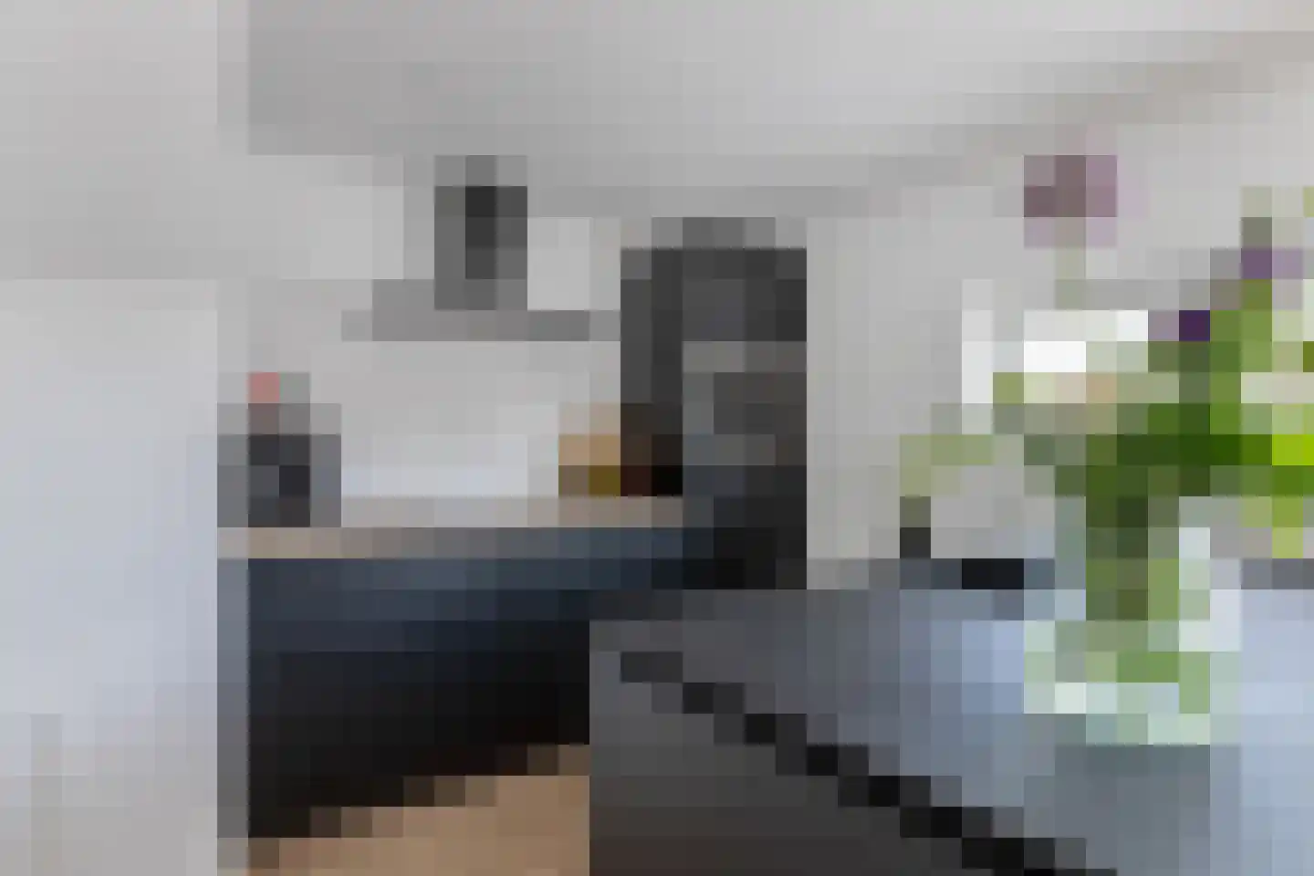De Wurdze 21 Balk thumbnail 19