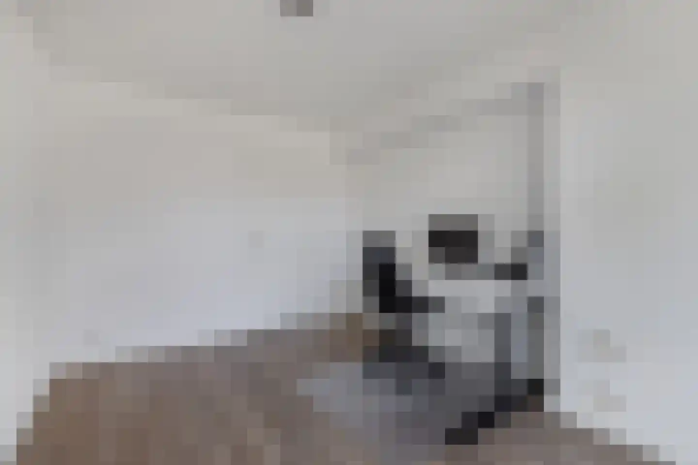 De Wurdze 21 Balk thumbnail 23