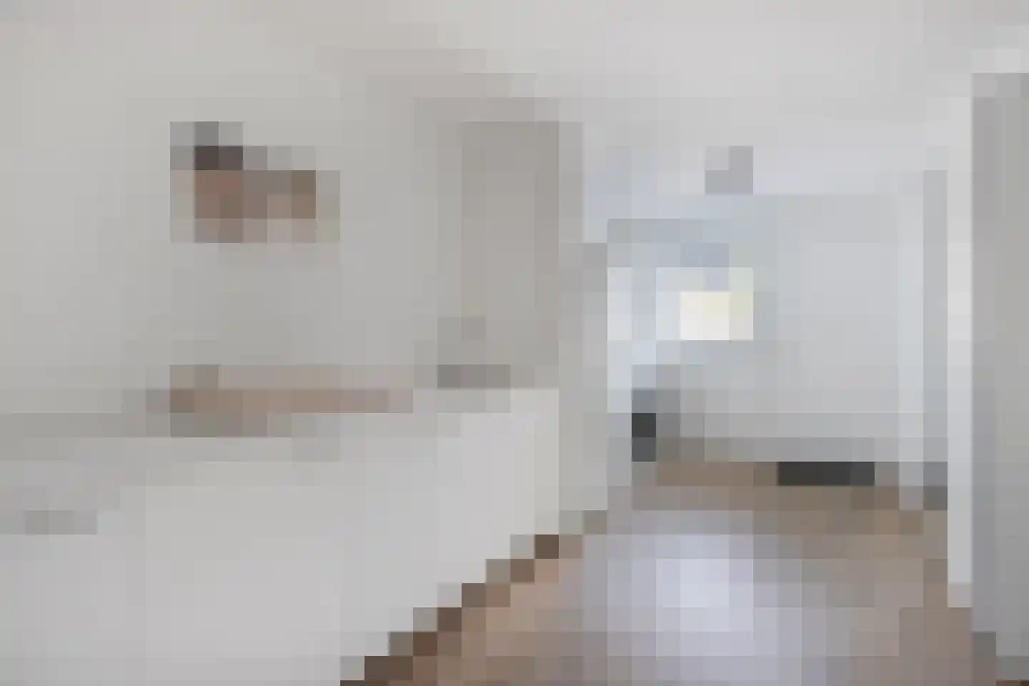 De Wurdze 21 Balk thumbnail 24