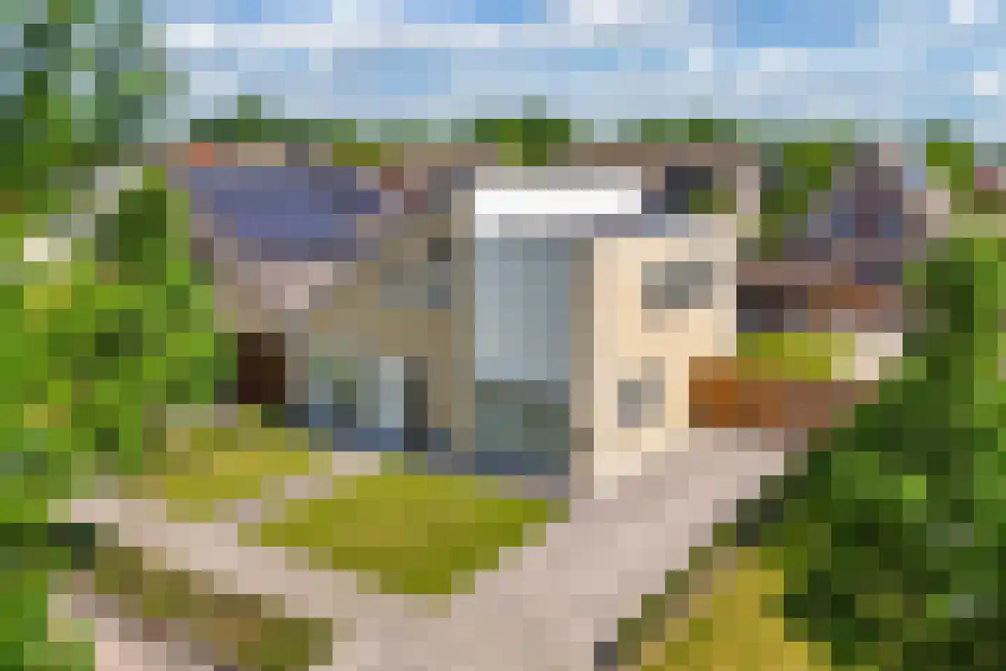 De Wurdze 21 Balk thumbnail 4
