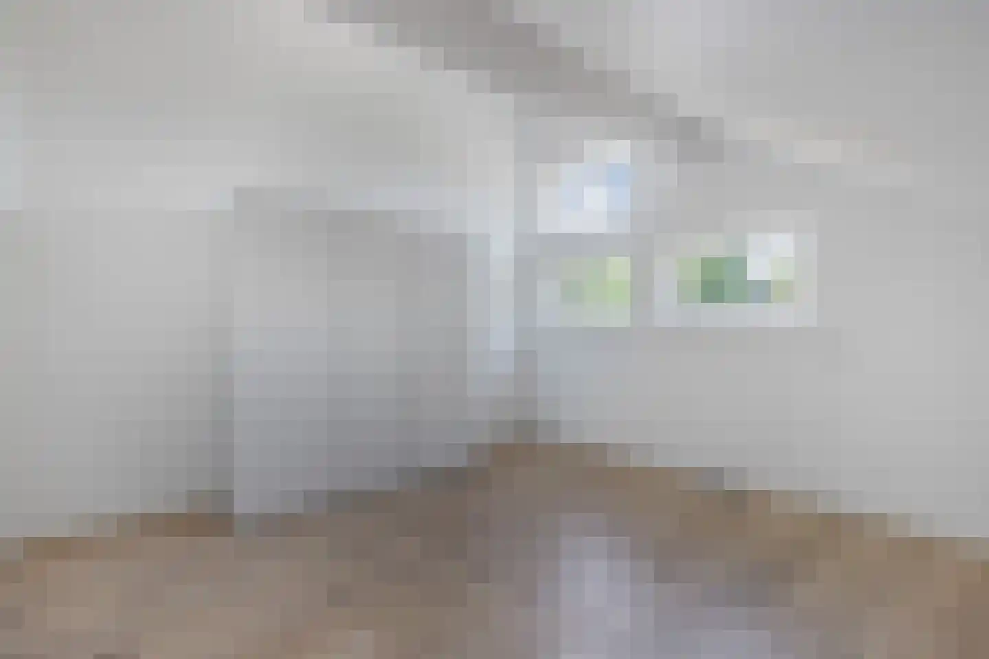 De Wurdze 21 Balk thumbnail 40