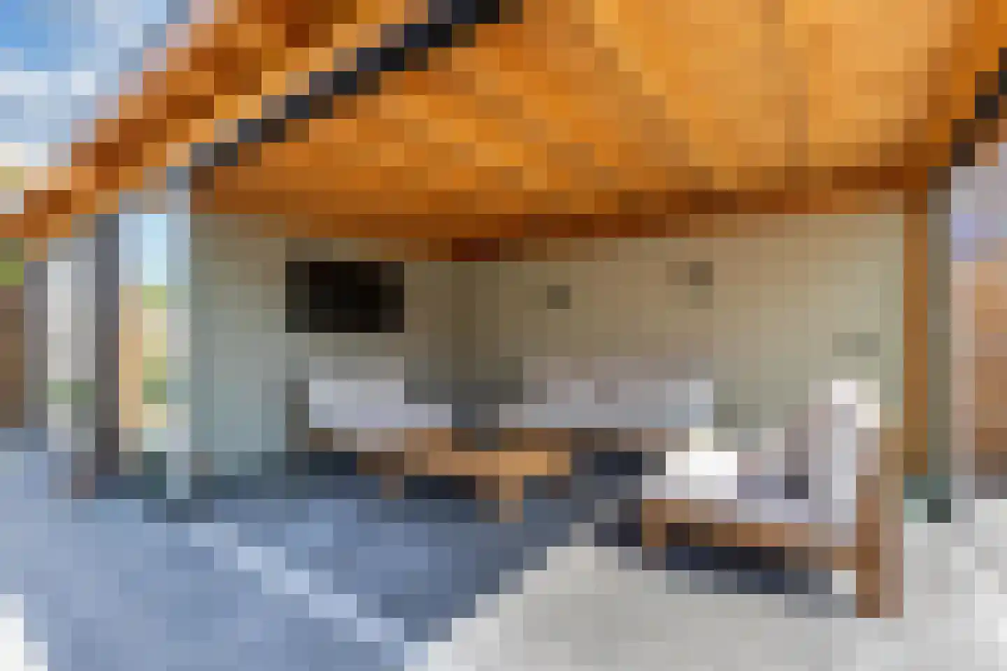 De Wurdze 21 Balk thumbnail 49
