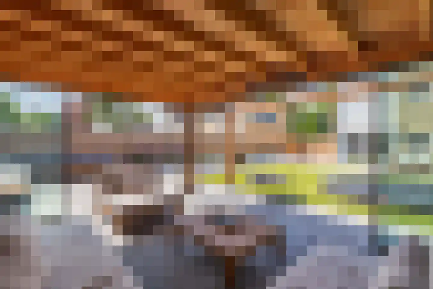 De Wurdze 21 Balk thumbnail 50