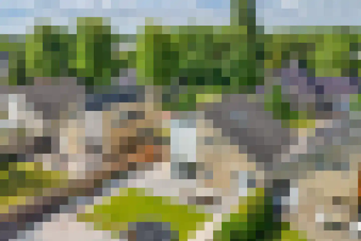 De Wurdze 21 Balk thumbnail 60