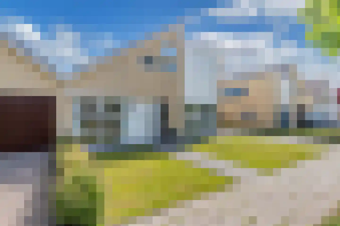 De Wurdze 21 Balk thumbnail 62