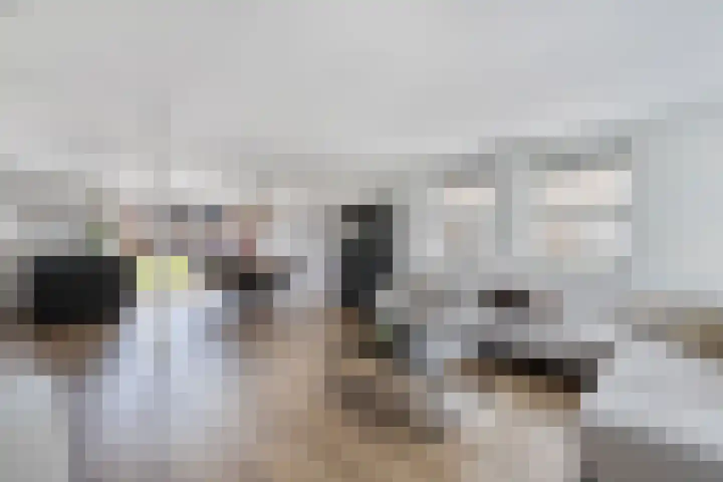 De Wurdze 21 Balk thumbnail 9