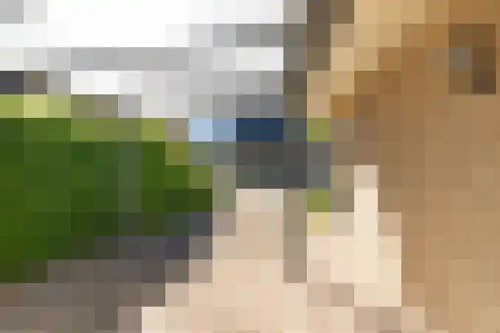 De Wurdze 35 Balk thumbnail 27