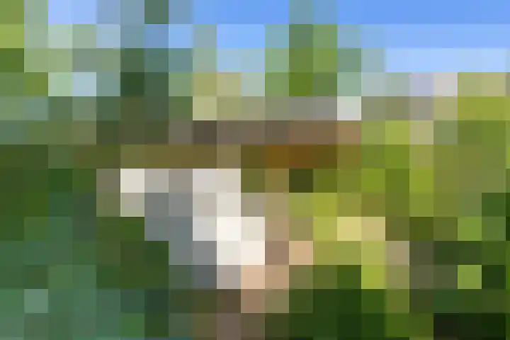 De Wurdze 35 Balk thumbnail 32
