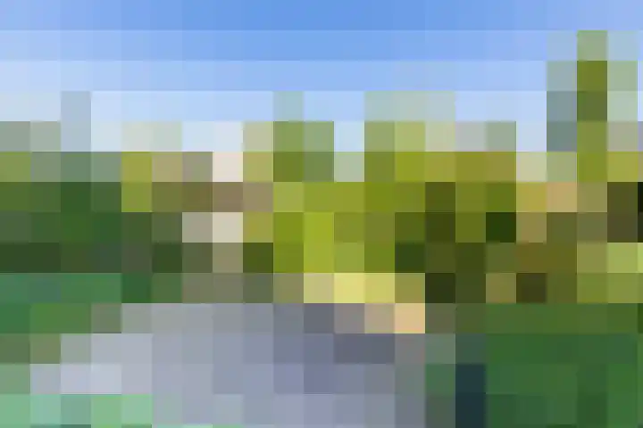 De Wurdze 35 Balk thumbnail 34