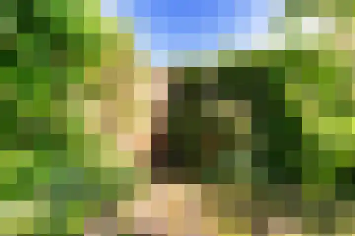 De Wurdze 35 Balk thumbnail 36
