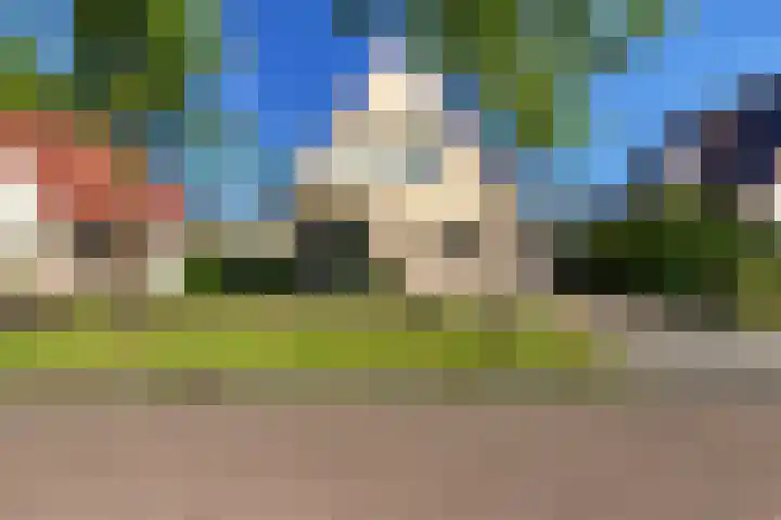 De Wurdze 35 Balk thumbnail 42