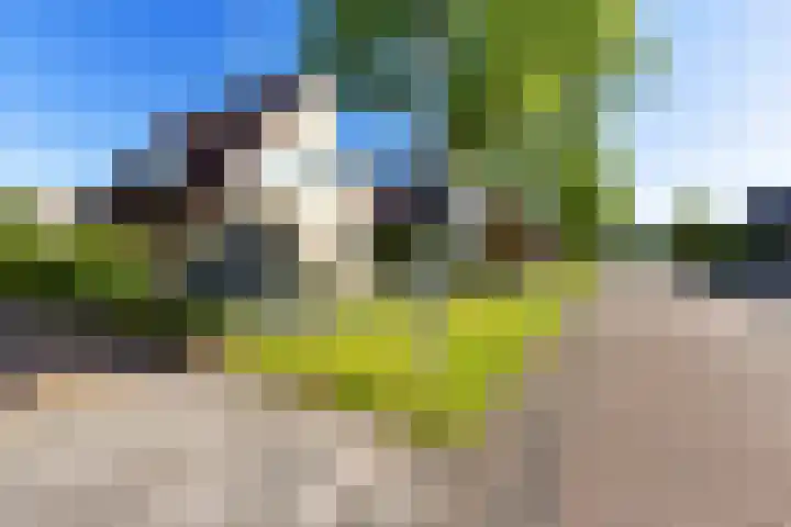 De Wurdze 35 Balk thumbnail 43
