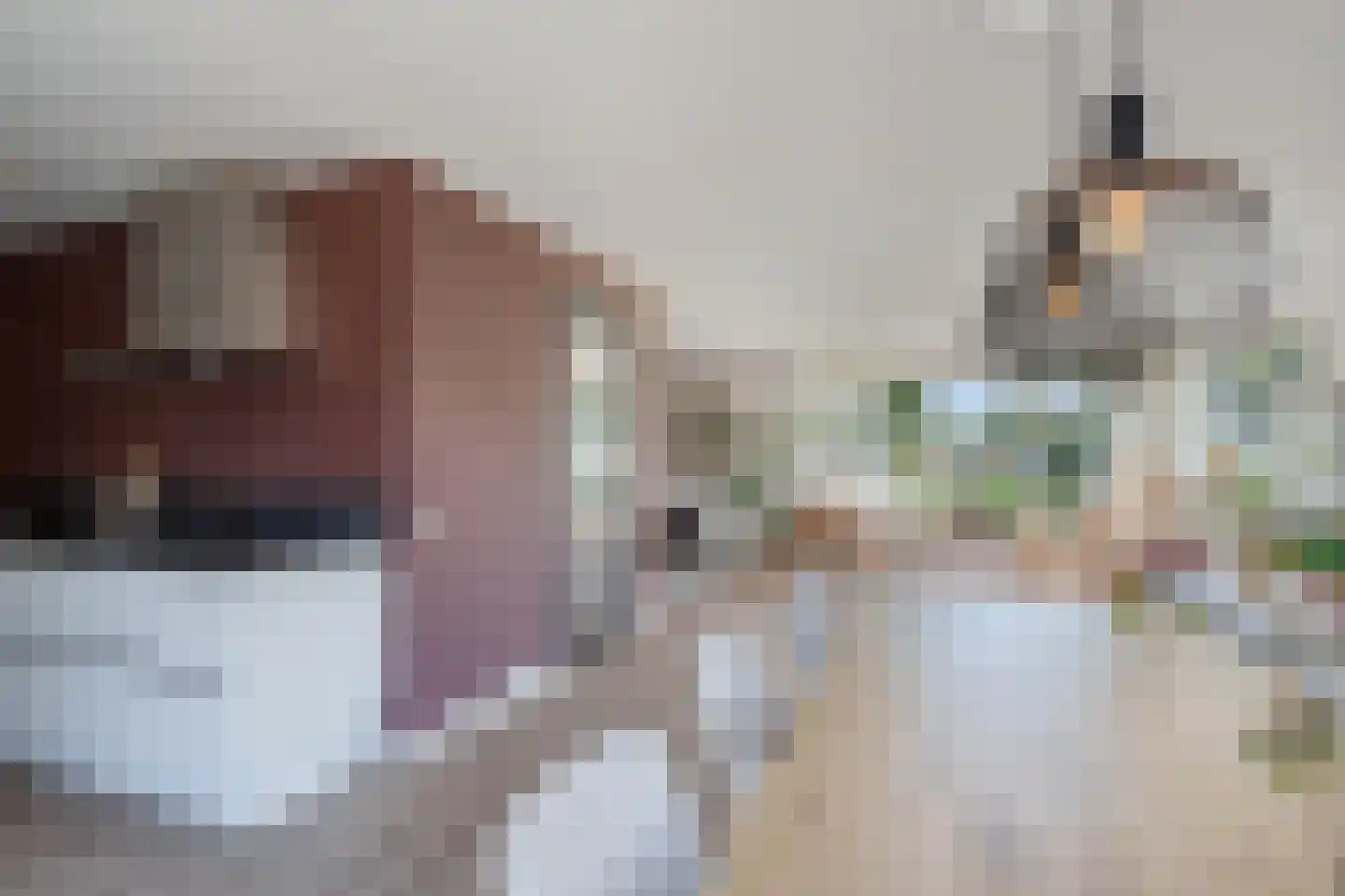 De Wurdze 59 A Balk thumbnail 19
