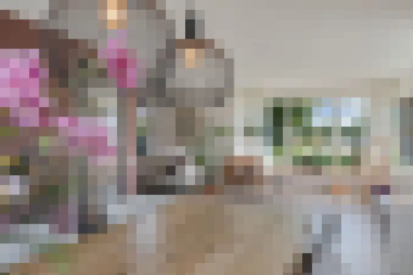 De Wurdze 59 A Balk thumbnail 21