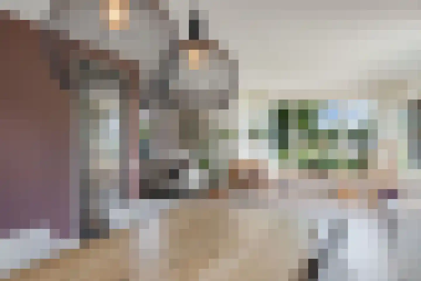 De Wurdze 59 A Balk thumbnail 22
