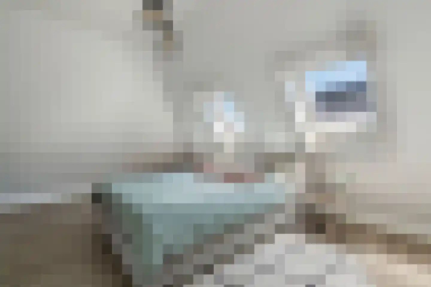 De Wurdze 59 A Balk thumbnail 33