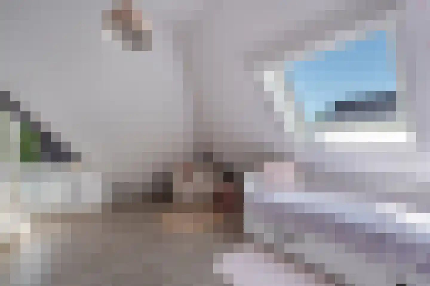 De Wurdze 59 A Balk thumbnail 35