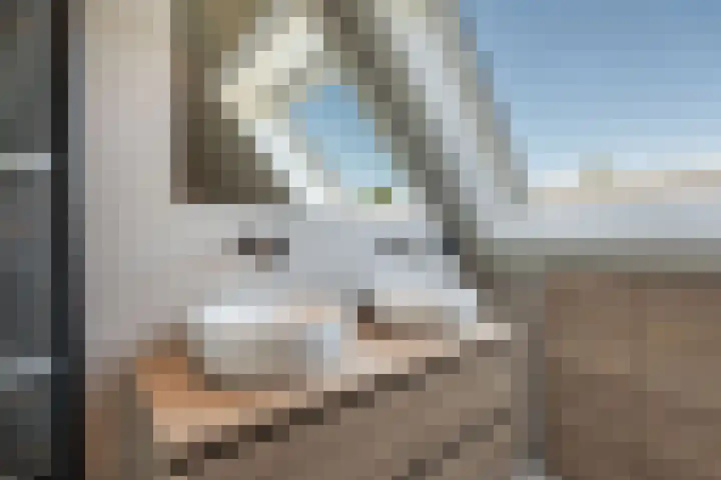 De Wurdze 59 A Balk thumbnail 43
