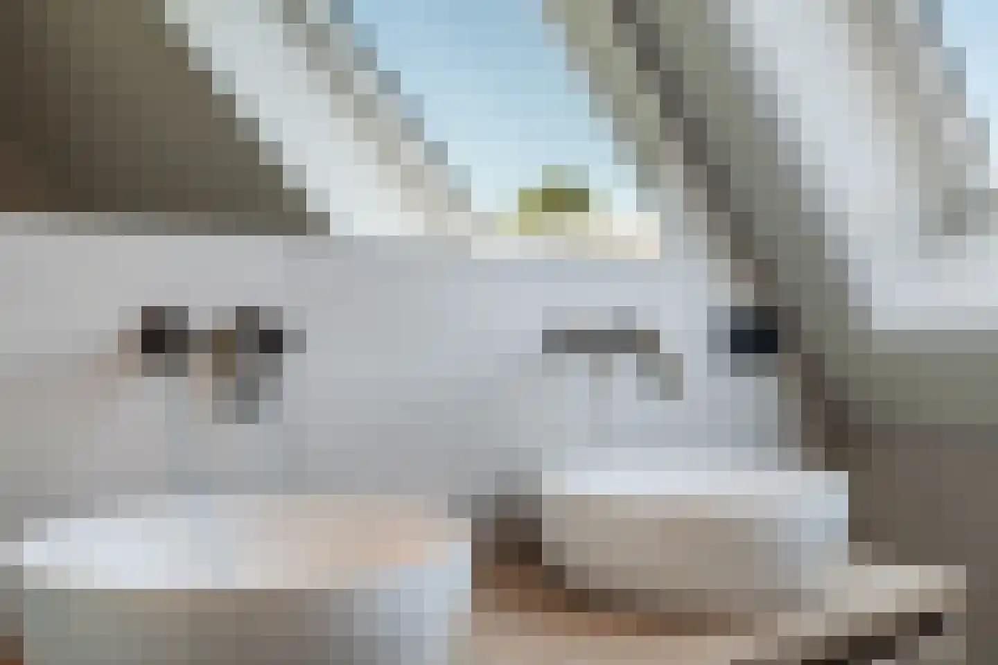 De Wurdze 59 A Balk thumbnail 44