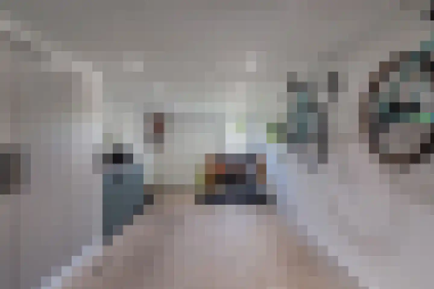 De Wurdze 59 A Balk thumbnail 48
