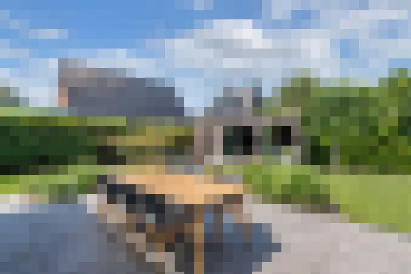 De Wurdze 59 A Balk thumbnail 50