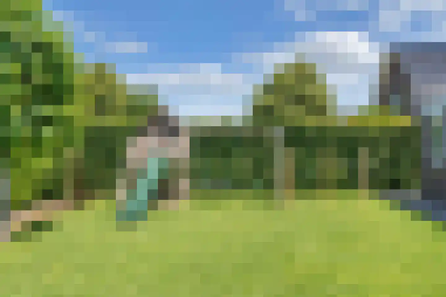 De Wurdze 59 A Balk thumbnail 53