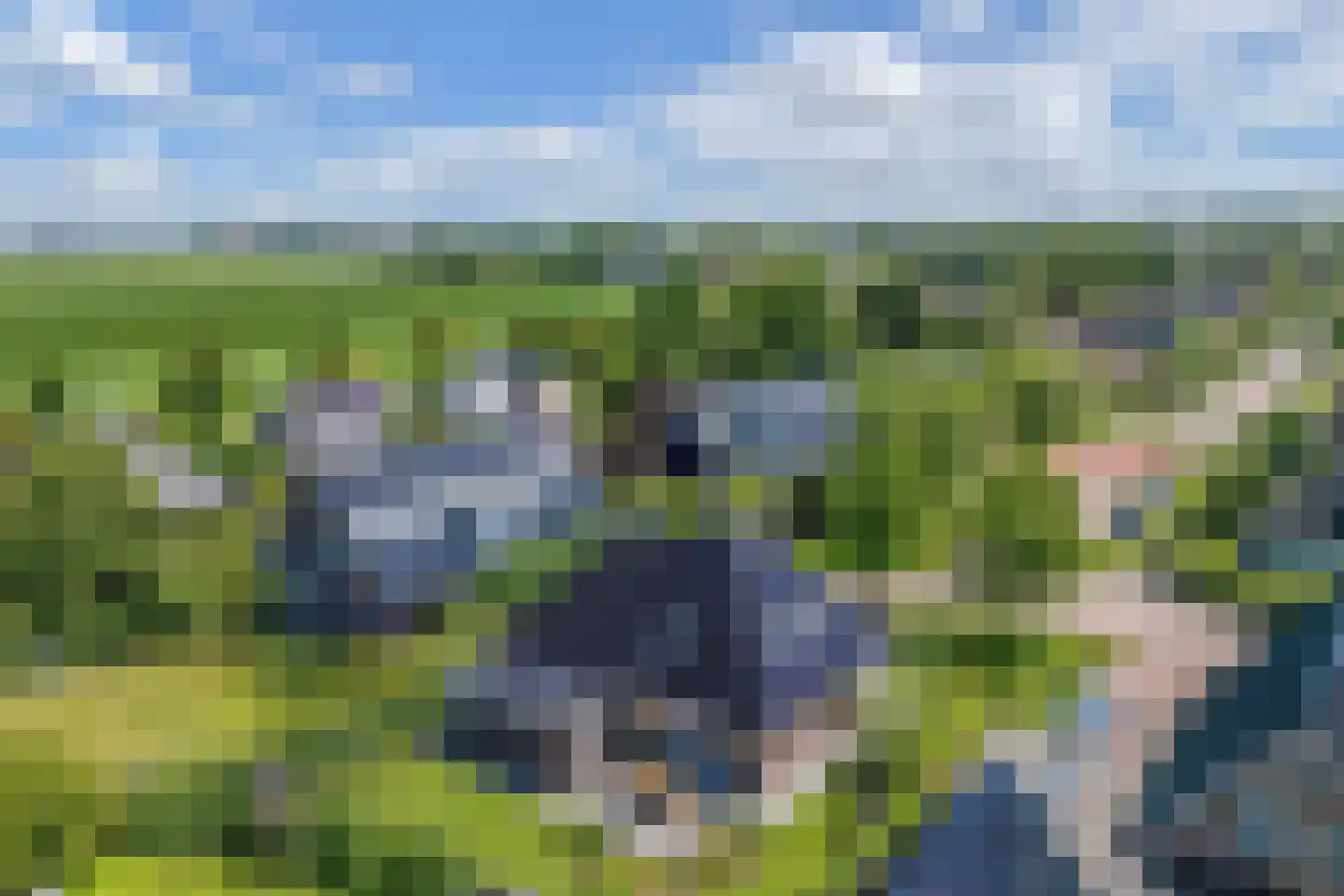 De Wurdze 59 A Balk thumbnail 65
