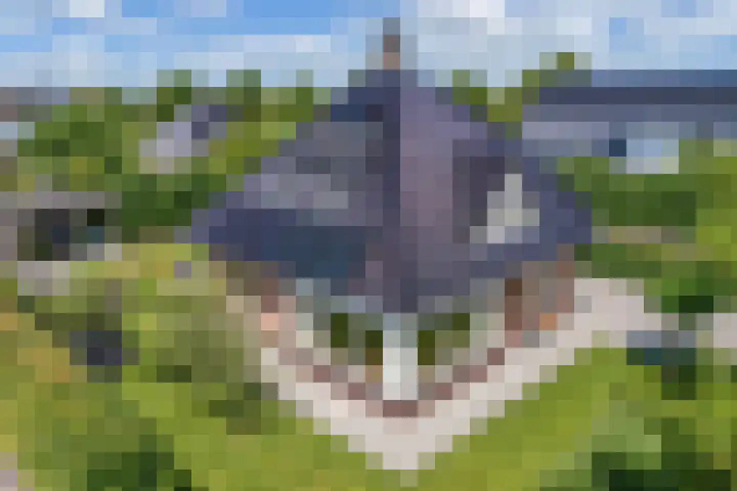 De Wurdze 59 A Balk thumbnail 9
