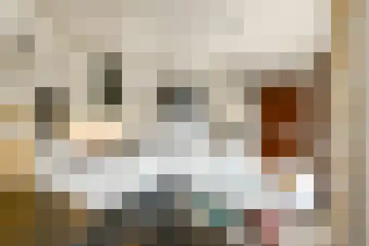 De Wuurde 10 Elst thumbnail 17