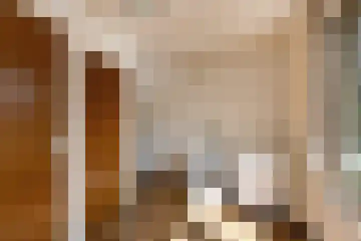 De Wuurde 10 Elst thumbnail 19
