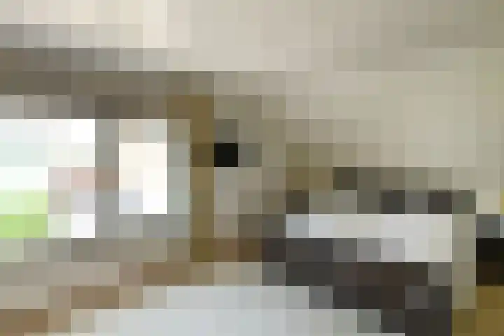 De Wuurde 10 Elst thumbnail 24