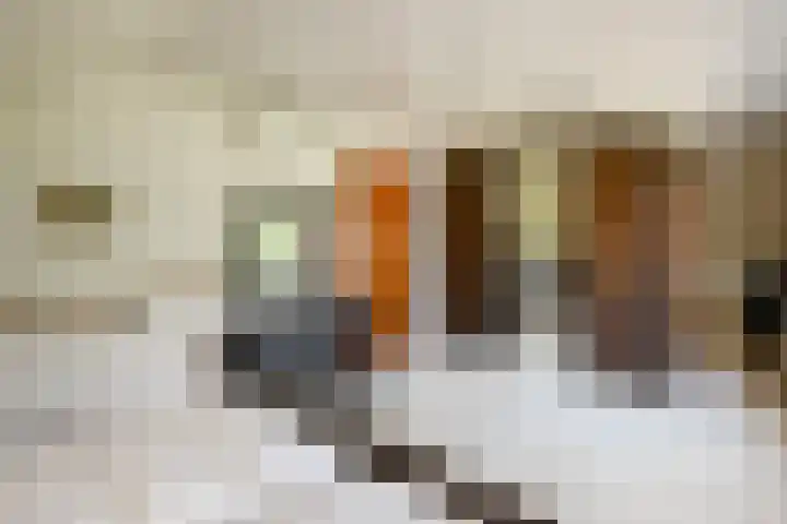 De Wuurde 10 Elst thumbnail 26
