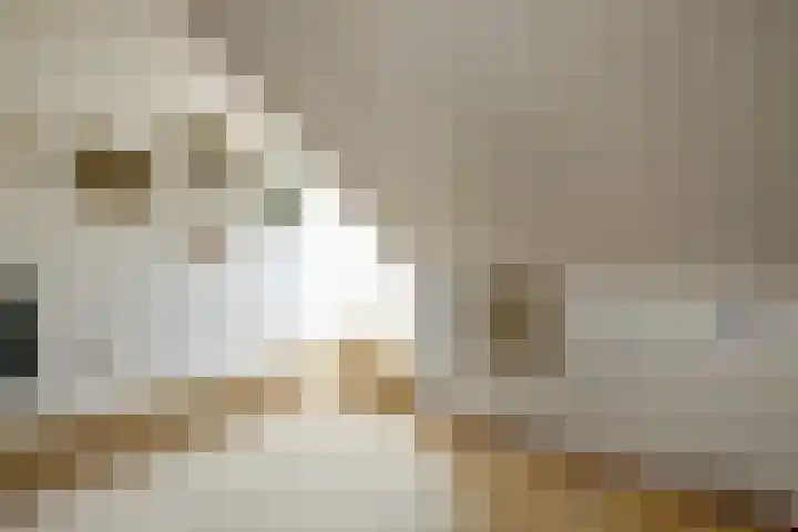 De Wuurde 10 Elst thumbnail 28
