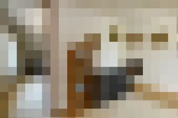 De Wuurde 10 Elst thumbnail 29