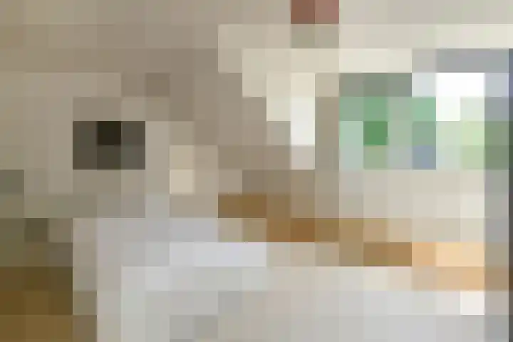 De Wuurde 10 Elst thumbnail 30
