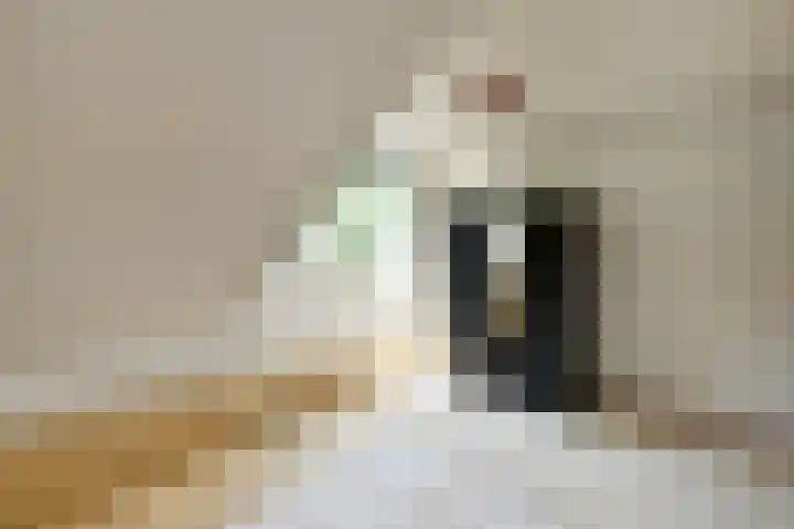 De Wuurde 10 Elst thumbnail 31